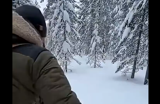 ����������� (�����)