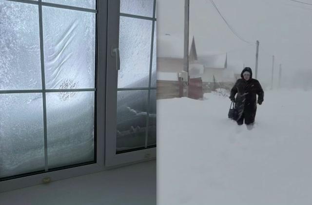 ������� ����������� � ������ (5 ����)