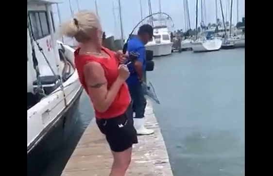 ���� �� ����-������ (�����)