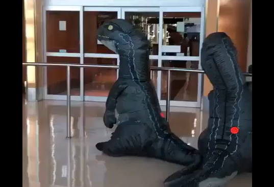 ���������� (�����)