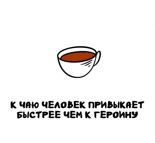 ���������� ����� �� ��� ������ ����� (15 ����)