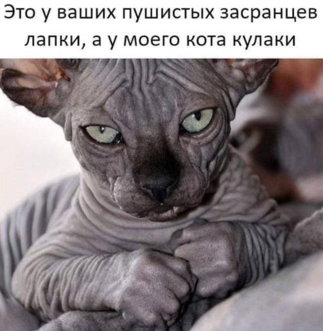  �������� ���������� ���� �3863 (30 ����)