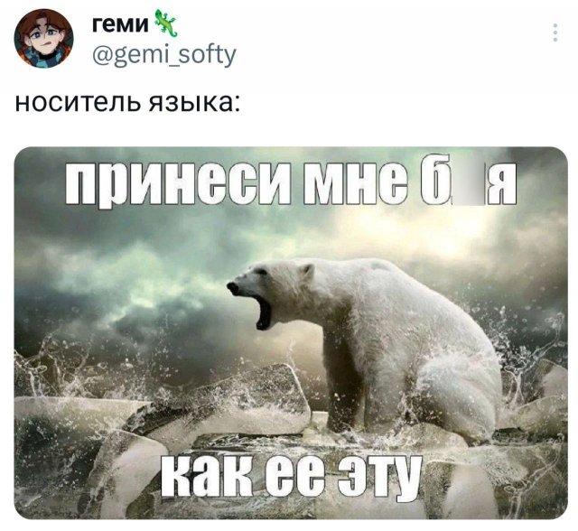 �������� �������� ������ ��� ���� (15 ����)