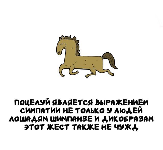 ���������� ����� �� ��� ������ ����� (15 ����)