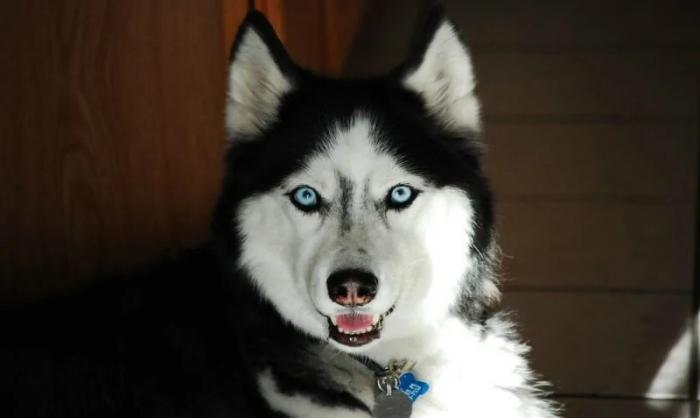 �������� � ������������� ������� ����� �������� ������ (17 ����)