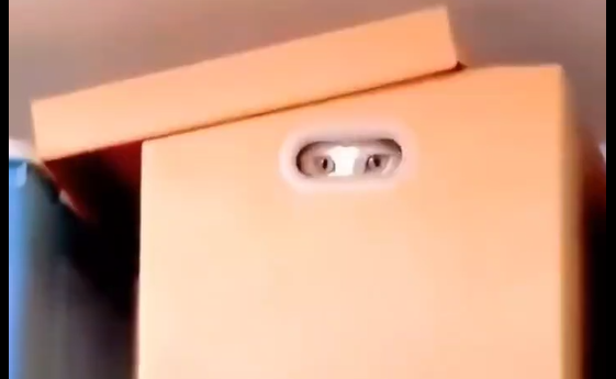 �������, ������� (�����)