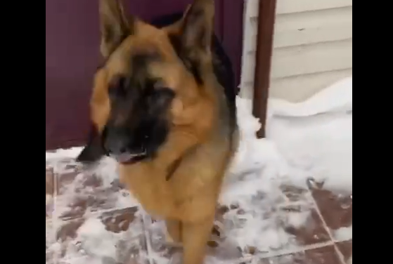 ����������� ������ ��������� (�����)