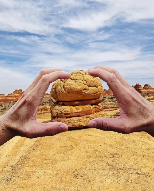 �������� ������������ ���� (6 ����)