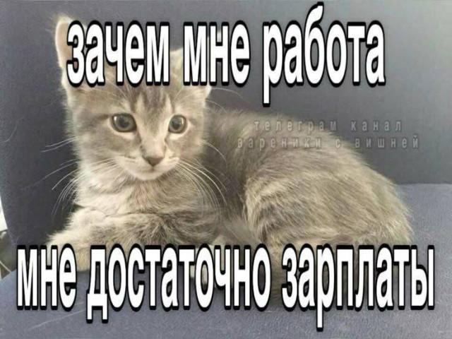 ������� �������� (15 ����)