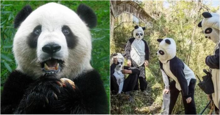 � ������ ���� �������� ������������-�����������