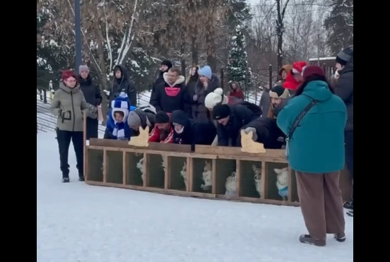 ������ ����� ������� ��� �� ����� (�����)