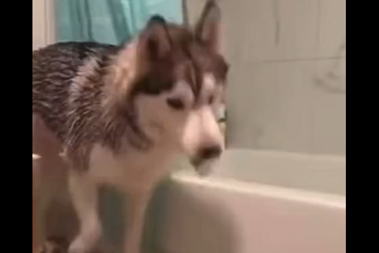 ��, ����� � ��������! (�����)