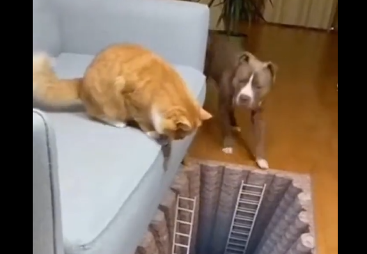 �����, ������� (�����)