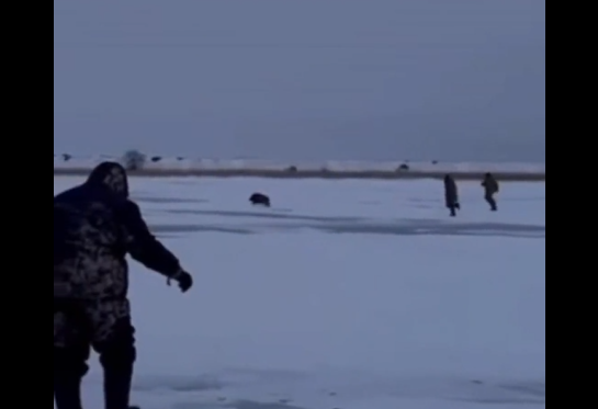 � ���������� ����� ������� ������� (�����)