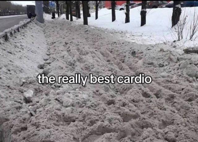 ������� �������� (15 ����)