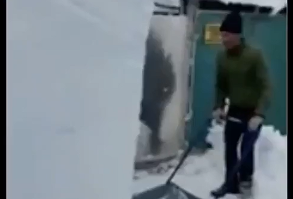 ������ ����� (�����)