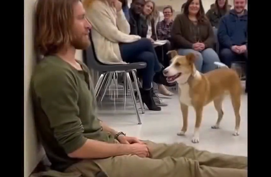 ����� � ������� �������� ���� �������� ������ (�����)