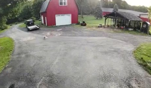 �������� ��� ������������ ���������� (�����)