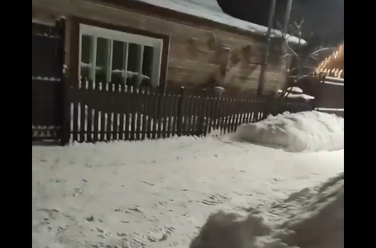 �� ����� �����, �� �������� ���! (�����)