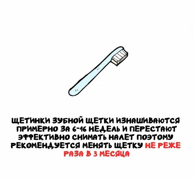 ���������� ����� �� ��� ������ ����� (15 ����)