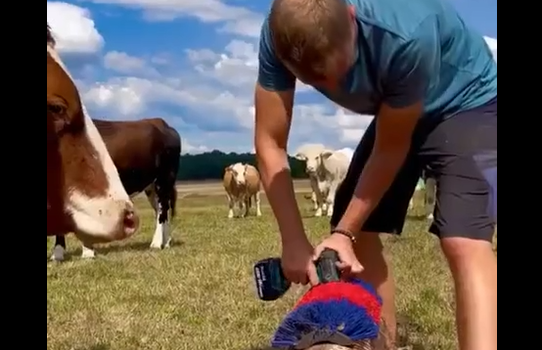 ���������� ������ (�����)