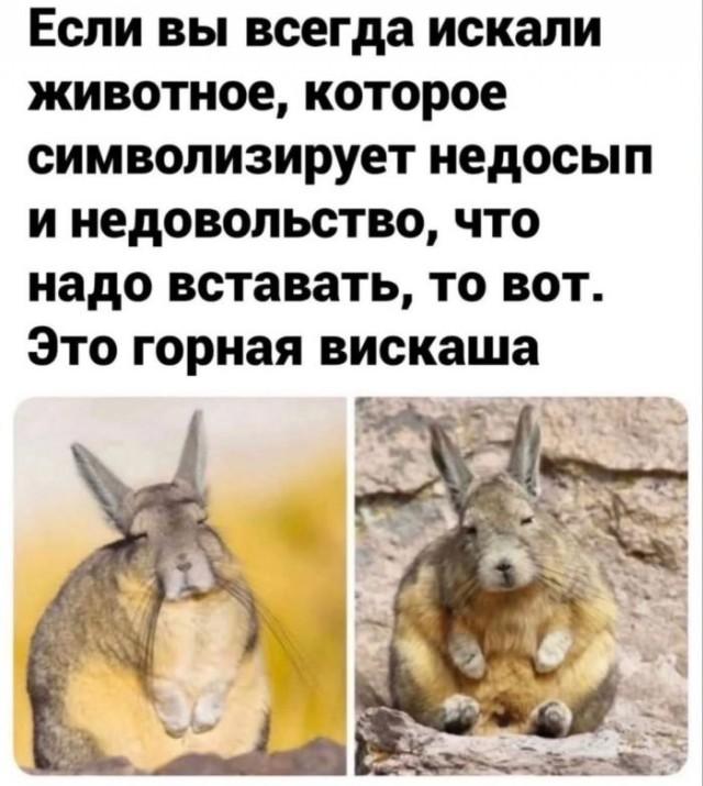 �������� ���������� ���� �3868 (30 ����)