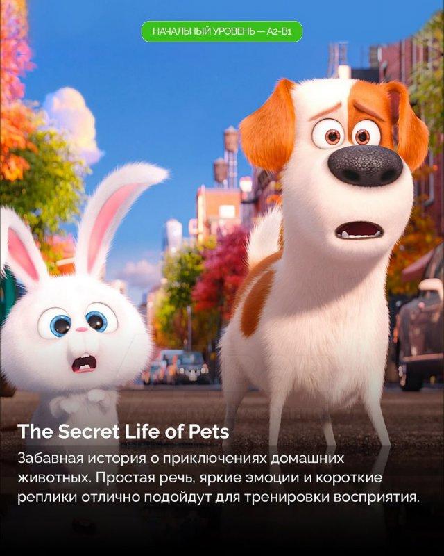 ������, ������� ������� ��� ��������� ���������� (8 ����)