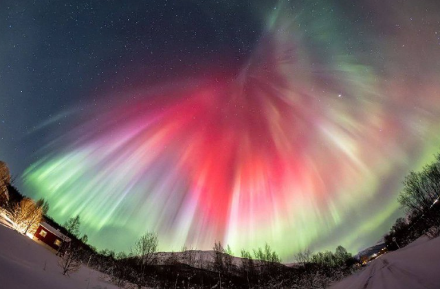 ����������� �������� ������ � �������� (5 ����)