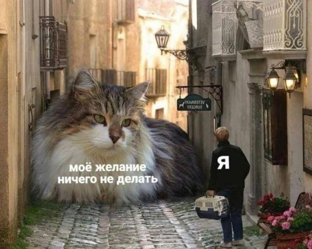 ������� �������� (15 ����)