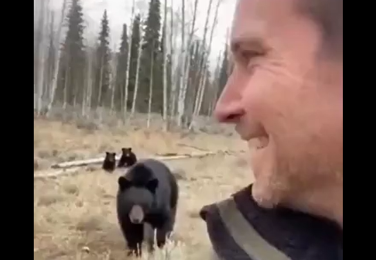 ����������� ������ �������� � ������� (�����)