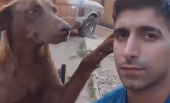 ��� �� ��� ��� �����! (�����)