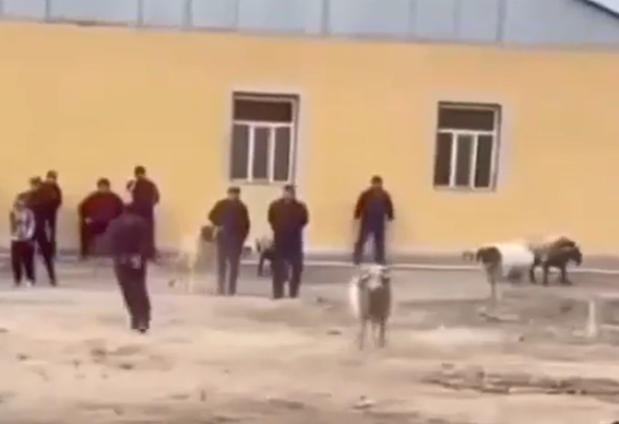 ������� ������� �� �����? (�����)