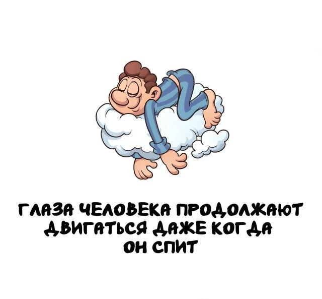 ���������� ����� �� ��� ������ ����� (15 ����)