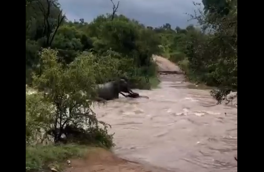 �������� �������� � ����� ������� (�����)