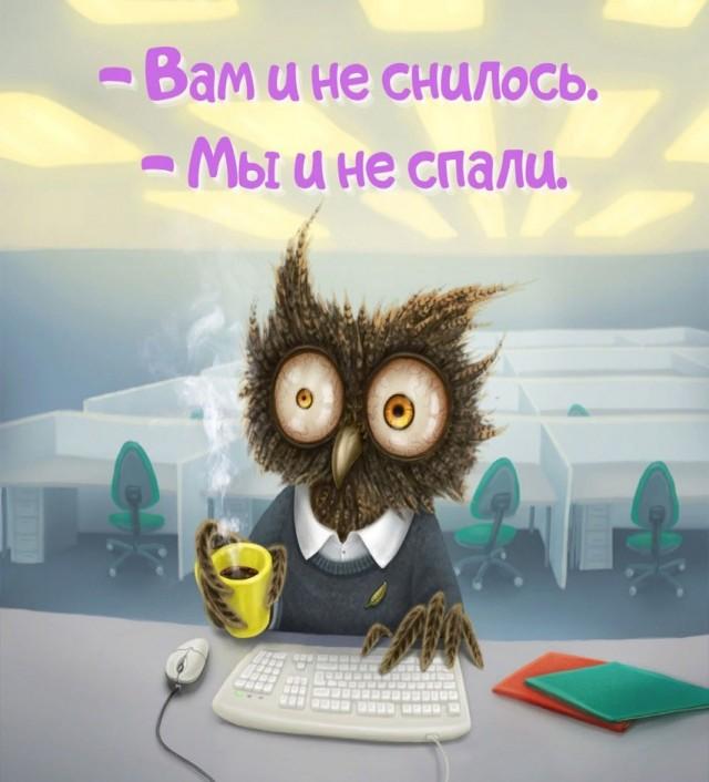 ������� �������� (15 ����)