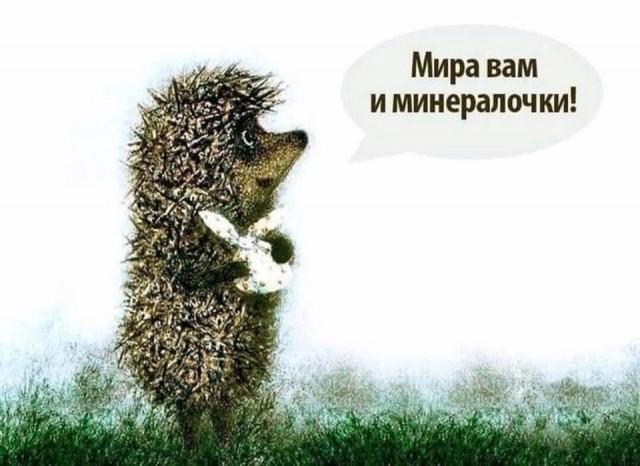 ������ ����� � ���� �� ���� (15 ����)