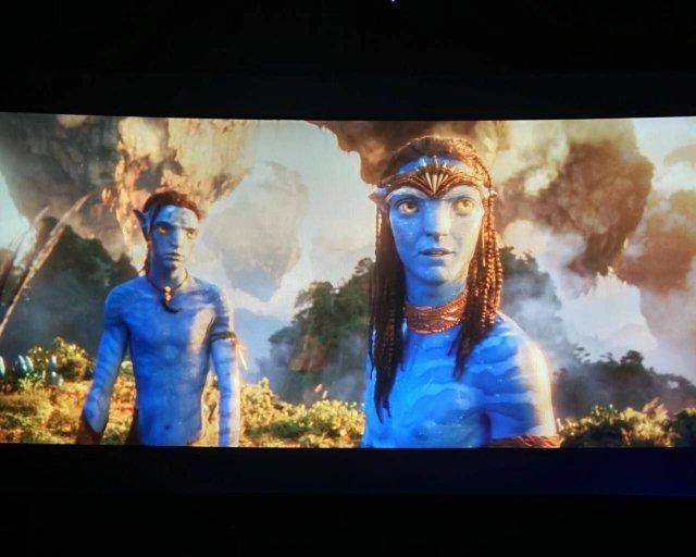 � ����������� ������ ���������� ������� �������� 3� (5 ����)