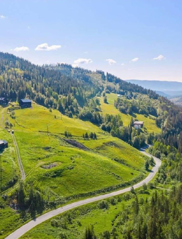 ������ �� ����� ����? (9 ����)