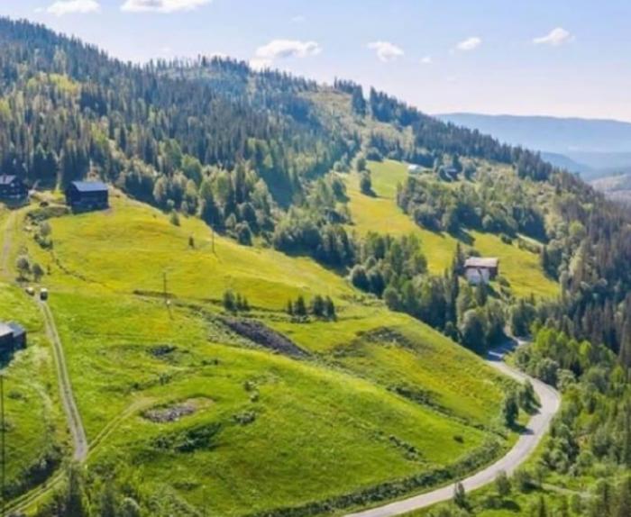 ������ �� ����� ����? (9 ����)