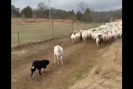 ������-����� � ���� (�����)