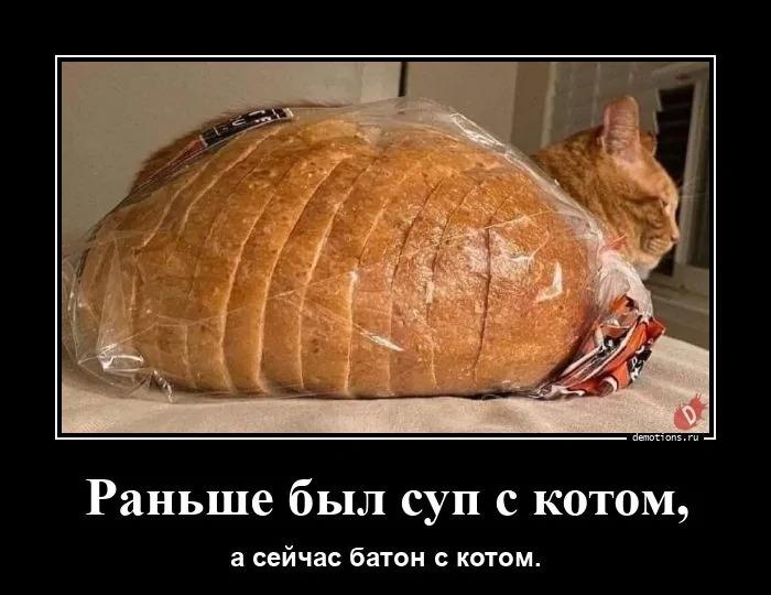 ������������ �3781 (15 ����)