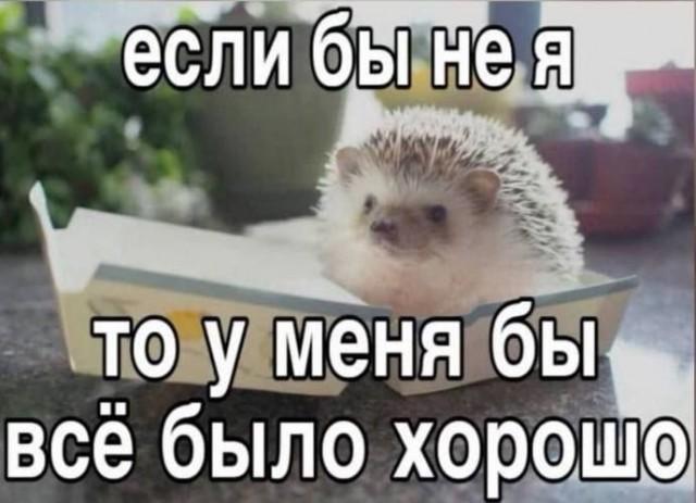 �������� ���������� ���� �3871 (30 ����)