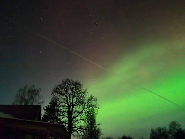 ����� �������� ������ ��������� ������ ������ �������� ������ (9 ����)