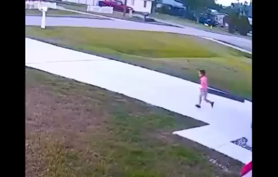 �������� ������� ������ 6-������� ������� (�����)