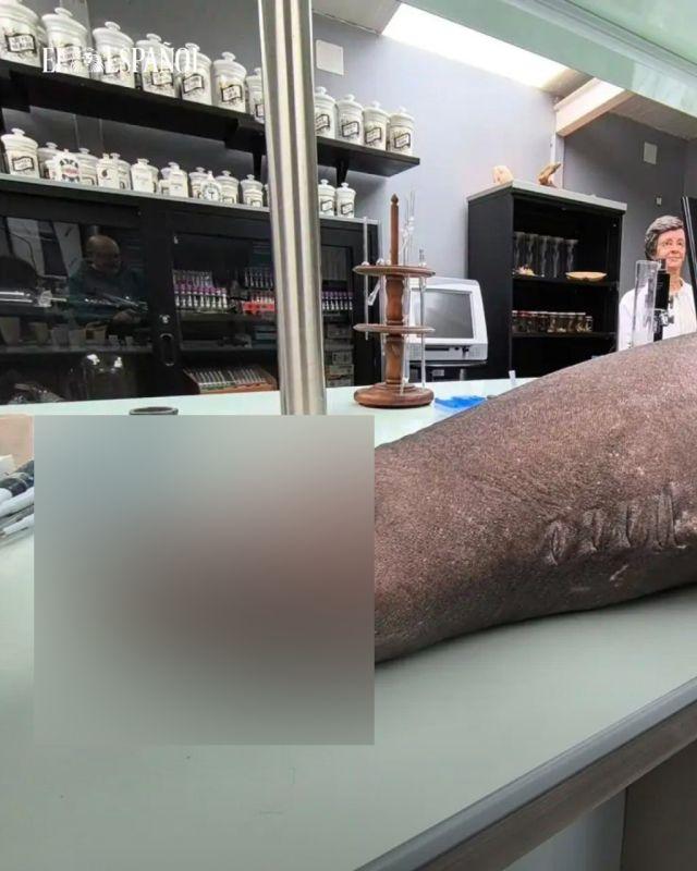 �����-����� ���������� � ������� � � �� �������� ����� (4 ����)