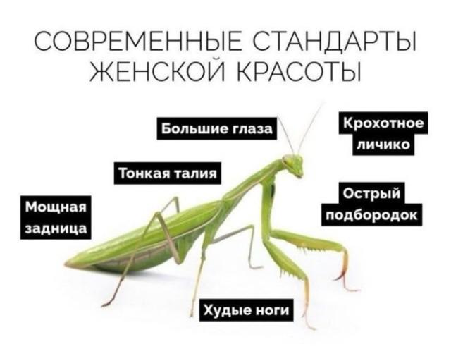 ������ ����� � ���� �� ���� (15 ����)