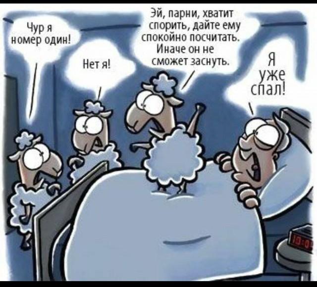 ������� ���� (15 ����)