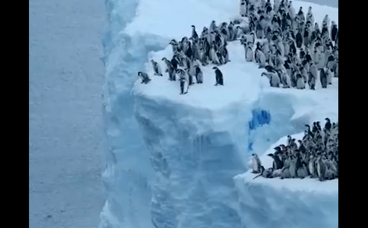 �������� ���� ��������� (�����)