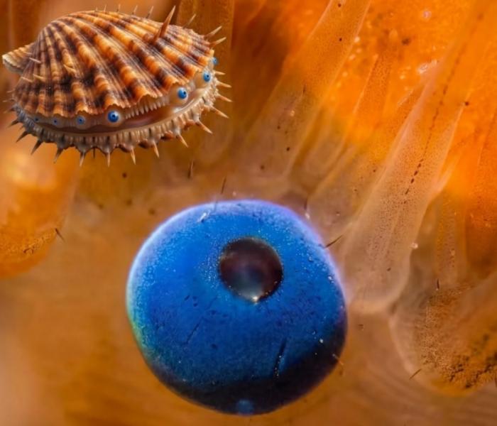 ����� �������� ����� � ������� (10 ����)