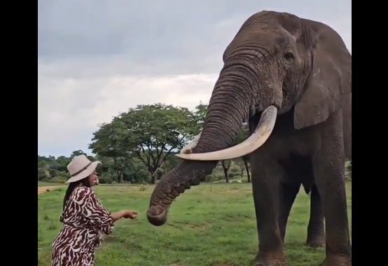 �����������, ����� ����� ������ (�����)